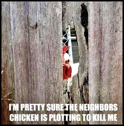 tumblr_0964169c143228b693b76c97f4499e62_ba433e60_540