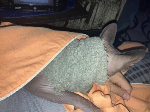 19:50:56 GMT-0400 (Eastern Daylight Time).image