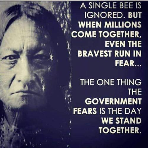 FB_IMG_1664659386189