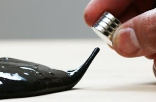 IMG_20221001_204858_346