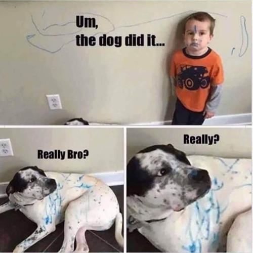 FB_IMG_1664904290752