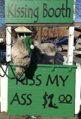 313165339_2990676117732671_8026304621224997606_n