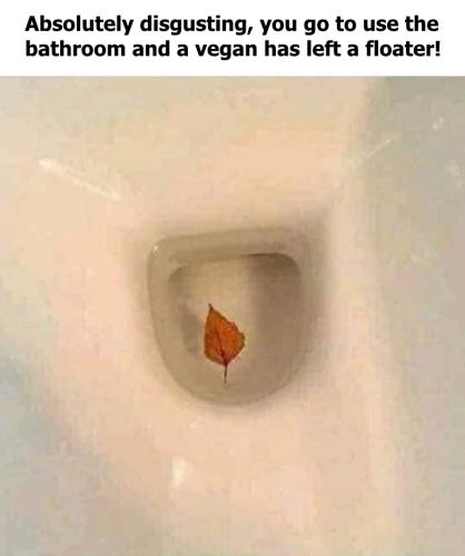 c8ef31e2d4495583c8a5833addd484c3_1024