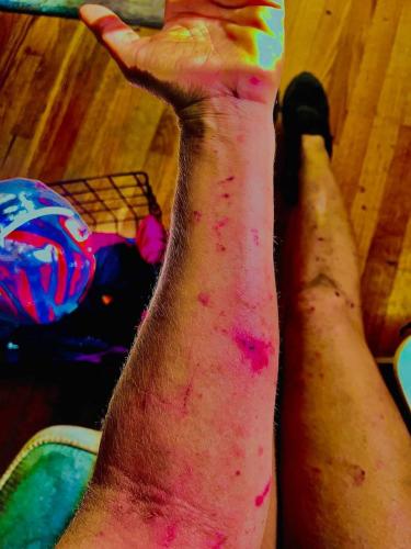 IMG_20221021_005530_551