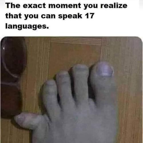 FB_IMG_1664979010750