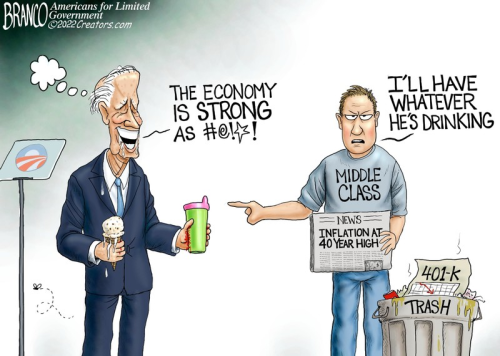 Branco_biden_is_braindead