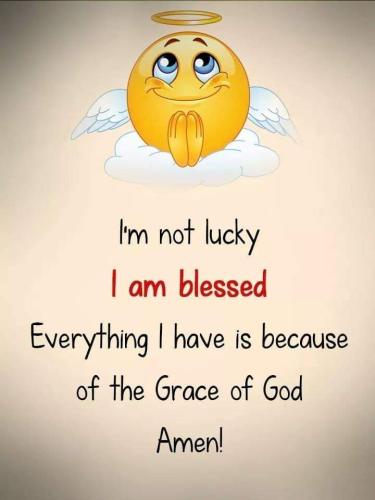 FB_IMG_1664887935305