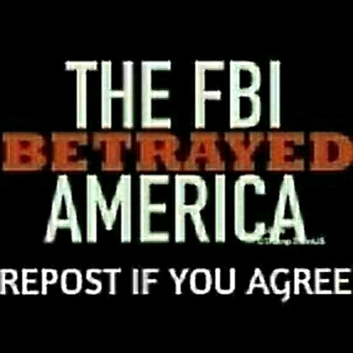 d7fbb2a83121638dee87fc7c10c9c88c_1024