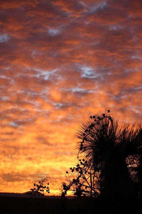 6b350dfc-1bf4-4ca3-9603-5145e77a037f