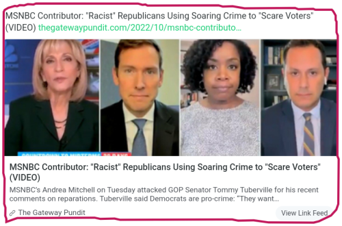 snapshot_gab.com_1665530588137