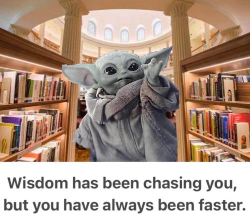 wisdom