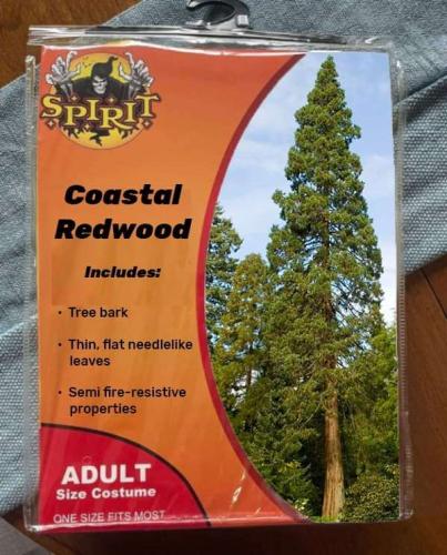 ce145bb0-a865-4310-bf41-e150e4578770