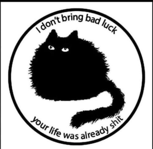 312384004_10217615061888543_8541989501935763465_n