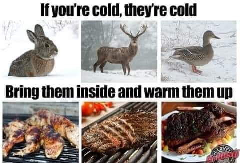 FB_IMG_1666895198251