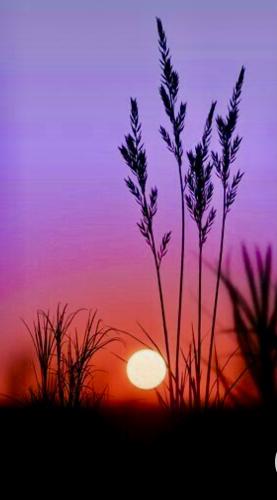 40858DEE-8A58-4831-923E-69F2C00620FB