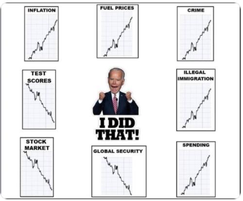 xephula_31c6d372cc05eea21411062f55d06836