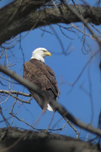 tumblr_93ad8eedc387c7cf998f3e75e090f765_09280f3d_2048