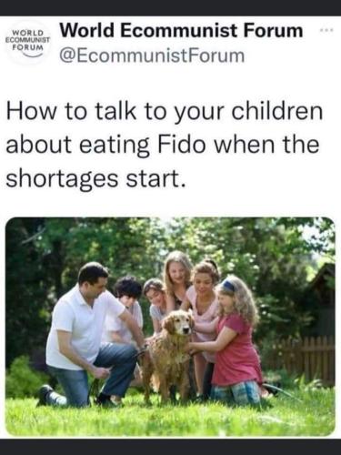 FB_IMG_1666884287029