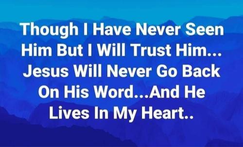 Screenshot_20221018-114947_Gallery