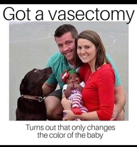 FB_IMG_1666808156424
