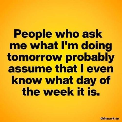 310105462_466761032158987_4529976186429901746_n