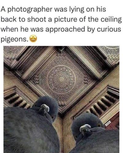 FB_IMG_1664912376393