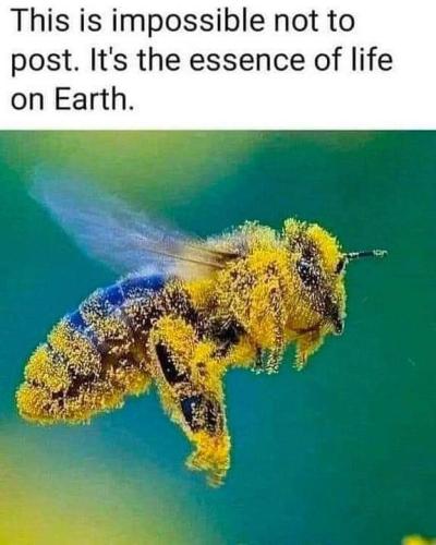 FB_IMG_1665469458469