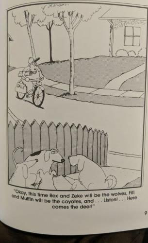 305320097_177001374832914_8757904079808388368_n