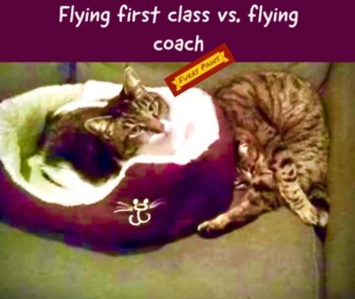 10:25:30 GMT-0400 (EDT)