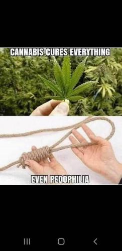 Pedo 1
