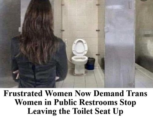 Women and toilet seats