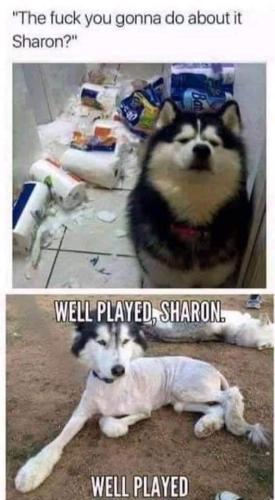 FB_IMG_1665245685166