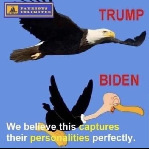 61df4521-618b-4bdd-a252-69c1041b40fa