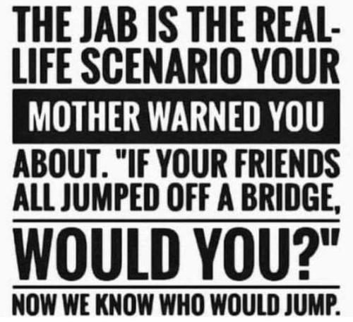 FB_IMG_1665733229729