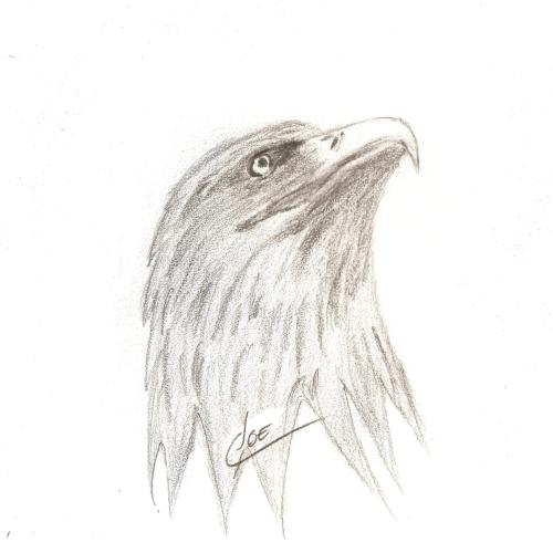 83942922_2945552552156438_1124158456517885952_n