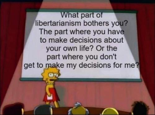 tumblr_cb3b7c12fc33a361464270aa10b42683_28711259_640