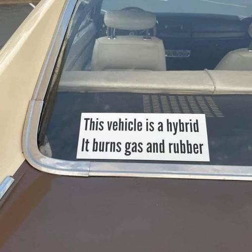 FB_IMG_1666618624853