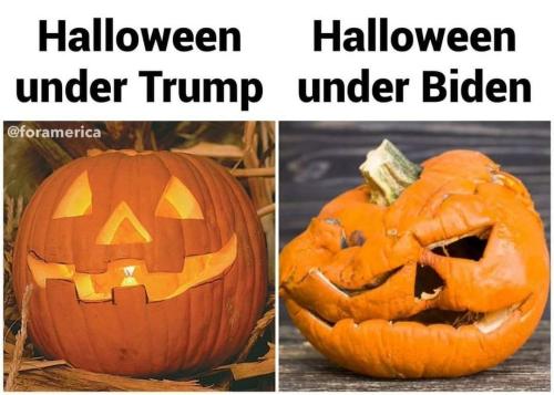 FB_IMG_1665942406995