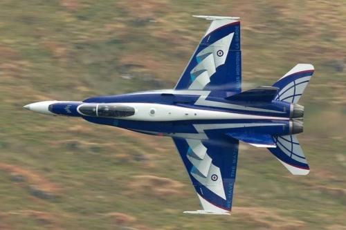 313407253_182114914392086_6109879511961231419_n