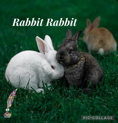 14:36:59 GMT-0500 (CDT).image