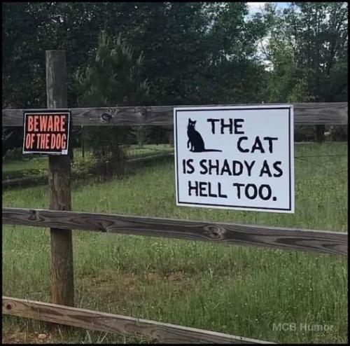 313031607_10218166732920308_7075728908351789736_n