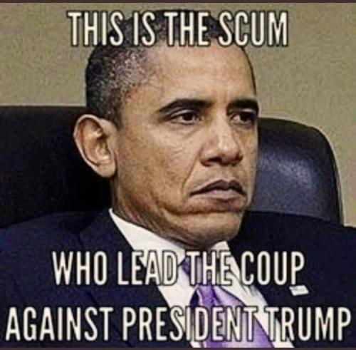 FB_IMG_1666539036142