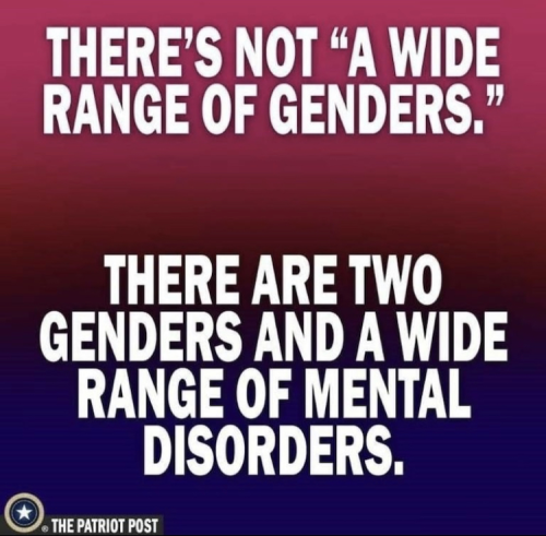 xephula_e4ae6d58fcdbd8e82c3efc689b25aacd