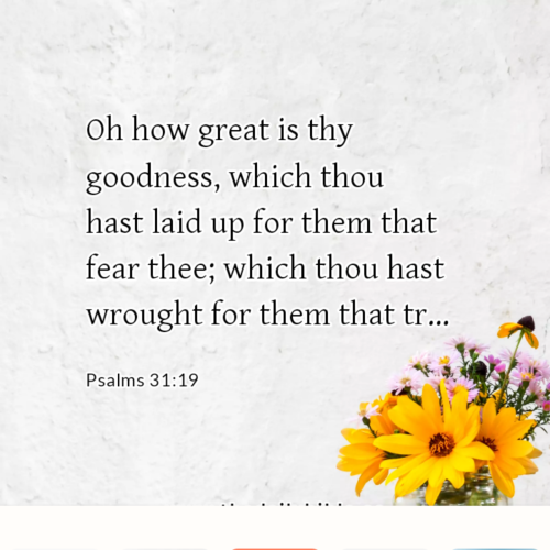 dailybible_20221031-182531_Psalms_31-19