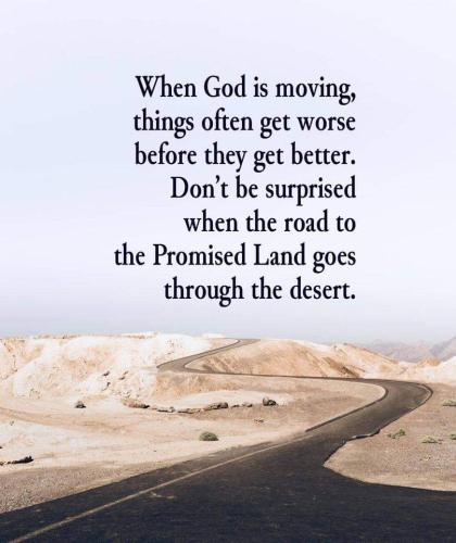 FB_IMG_1665752363078