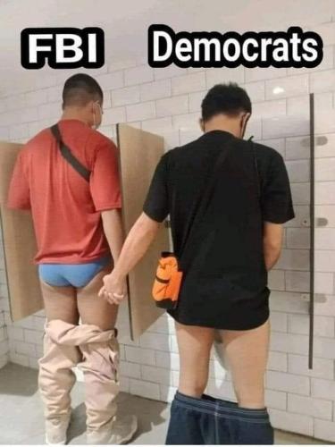 fbi n dems