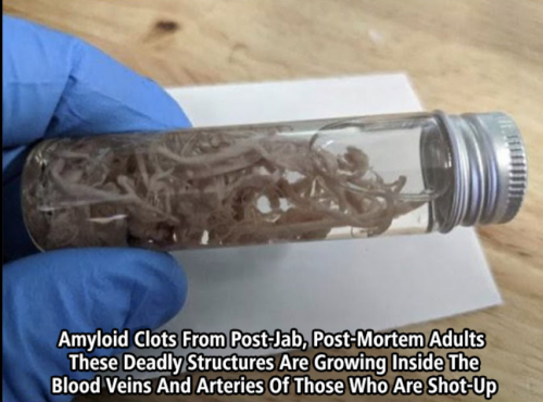 Screenshot_2022-10-02-17-29-41_kindlephoto-365693939