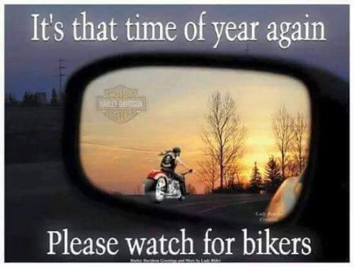 FB_IMG_1666534276437