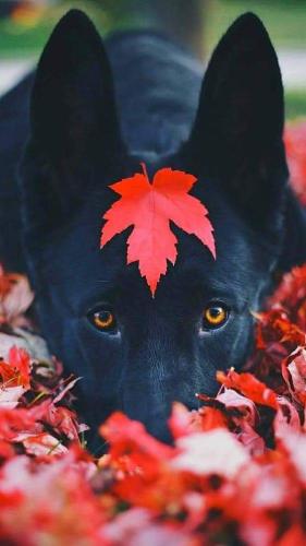 FB_IMG_1665355178581
