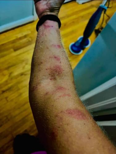 IMG_20221021_005519_393